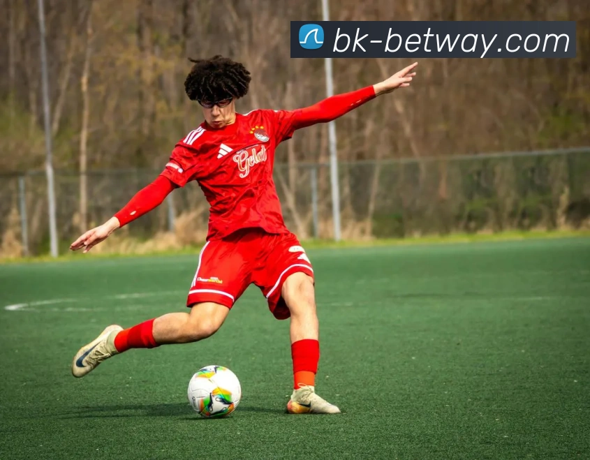 BETWAY必威官网平台生态图